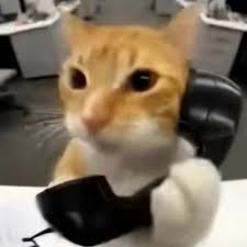 $callcat